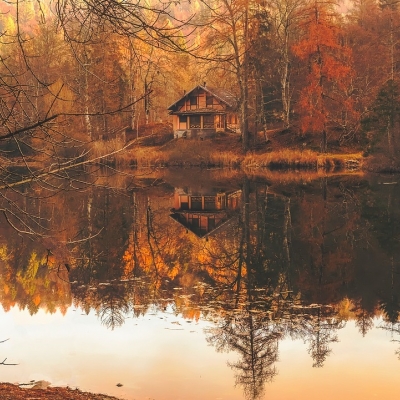 NOVEMBRE